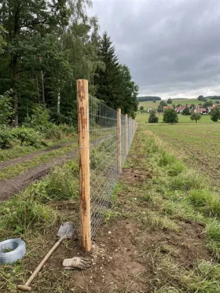 Wildzaun in Dresden - fachgerechte Ausführung vor Ort